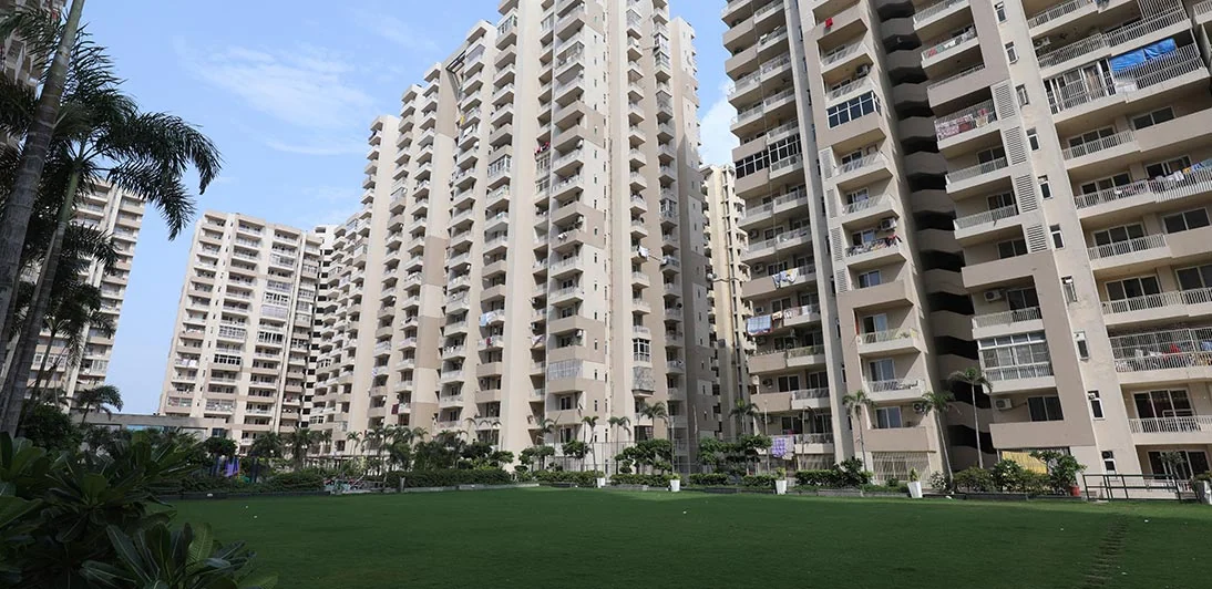 ACE Platinum towers and lawn