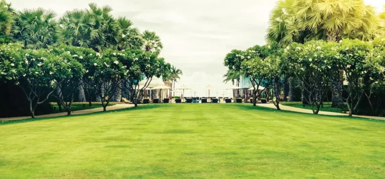 Landscaped lawn at Godrej Majesty